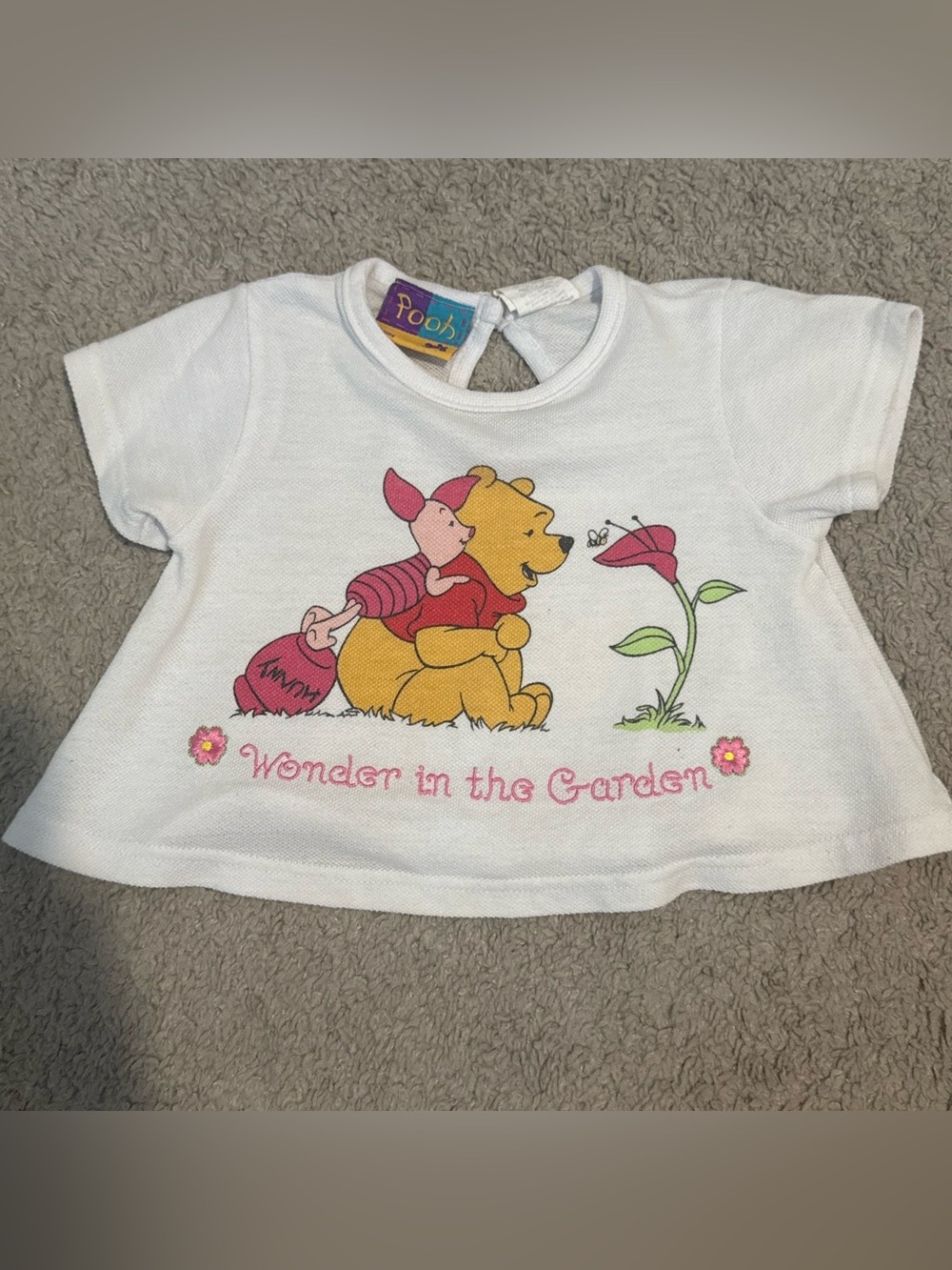 Vintage Winnie the Pooh Piglet Garden🌷🪴💗